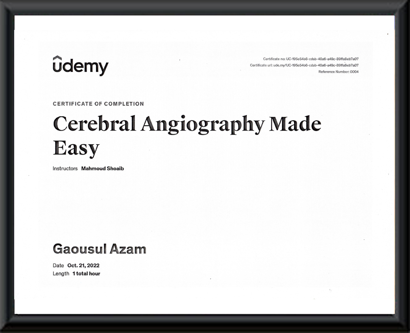 5. Udemy DSA CERTIFICATE
